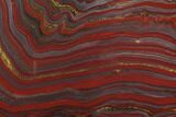 Polished Tiger Iron Stromatolite - Billion Years #129344-1